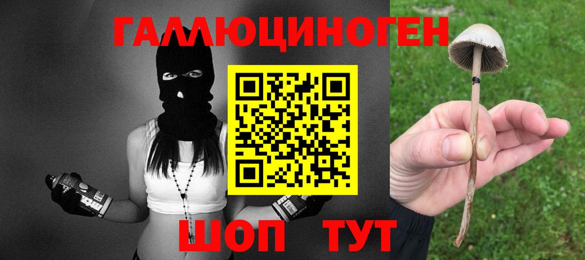 Тулун  Галлюциногенные грибы MAGIC MUSHROOMS  Вход с VPN  Псилоцибиновые грибы мицелий 